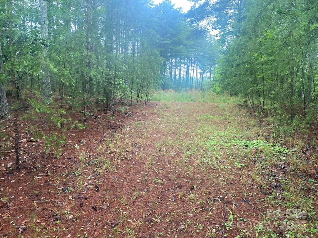 V/L Hunt Camp Dr Unit 59, Nebo, NC 28761
