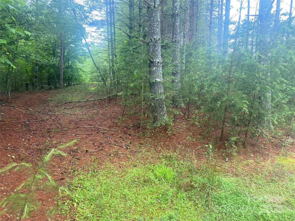 V/L Hunt Camp Dr Unit 59, Nebo, NC 28761