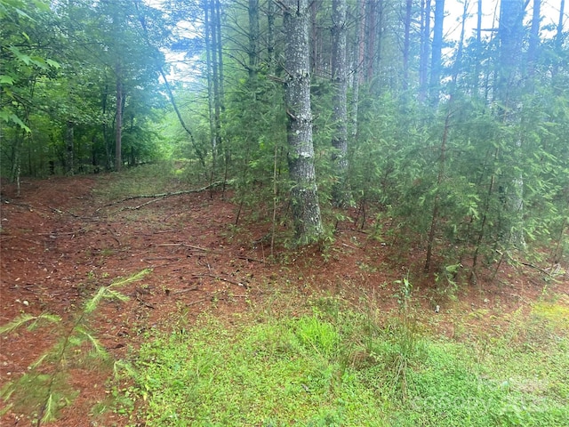 V/L Hunt Camp Dr Unit 59, Nebo, NC 28761