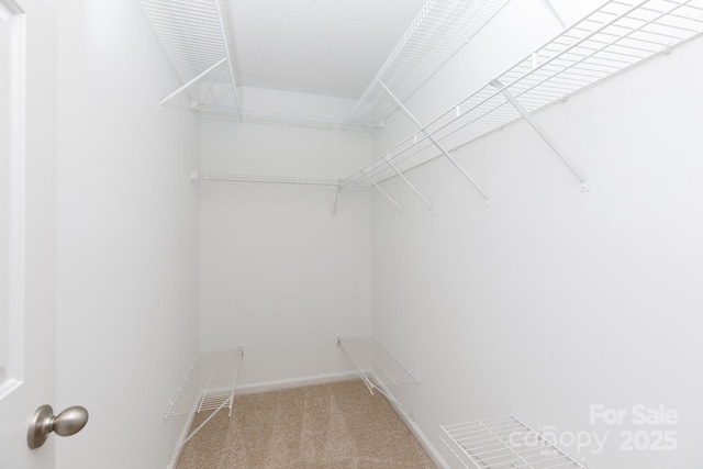 5806 Autumn Trace Ln, Indian Trail, NC 28079 - spacious closet featuring carpet