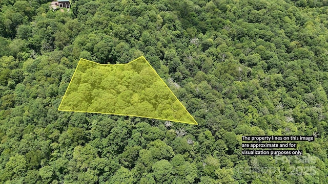 00 Logging Trl, Maggie Valley, NC 28751 - photo 1