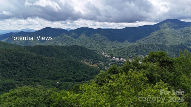 00 Logging Trl, Maggie Valley, NC 28751 - photo 2