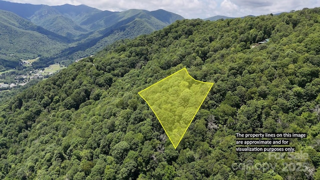 00 Logging Trl, Maggie Valley, NC 28751 - photo 3