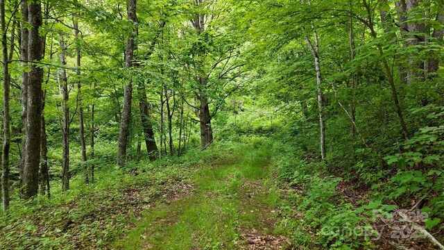 00 Logging Trl, Maggie Valley, NC 28751 - photo 4