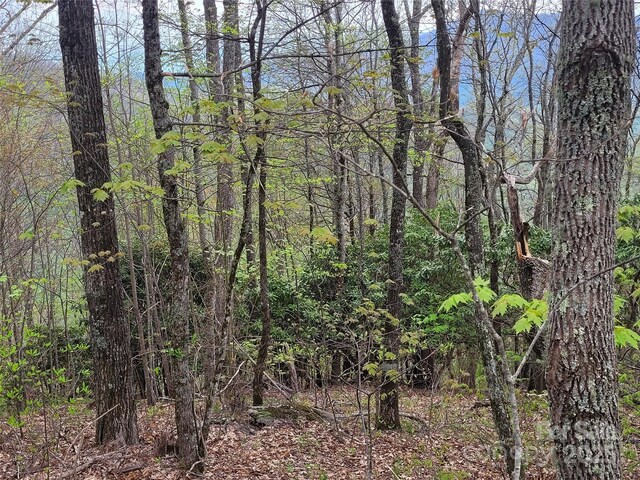 00 Logging Trl, Maggie Valley, NC 28751 - photo 5