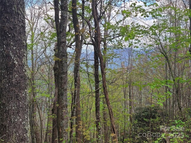 00 Logging Trl, Maggie Valley, NC 28751 - photo 6