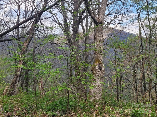 00 Logging Trl, Maggie Valley, NC 28751 - photo 7