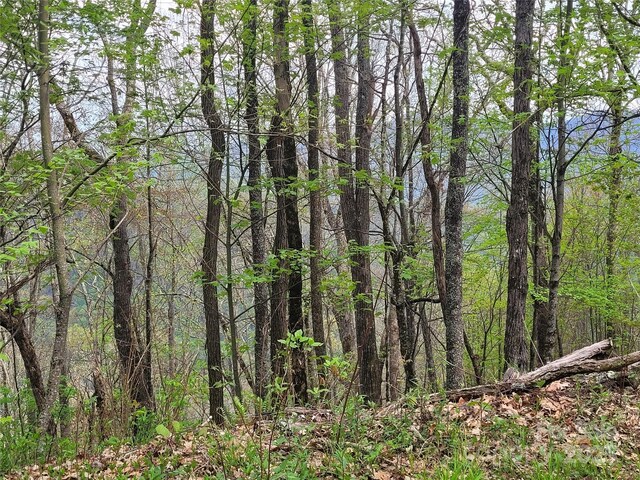 00 Logging Trl, Maggie Valley, NC 28751 - photo 8
