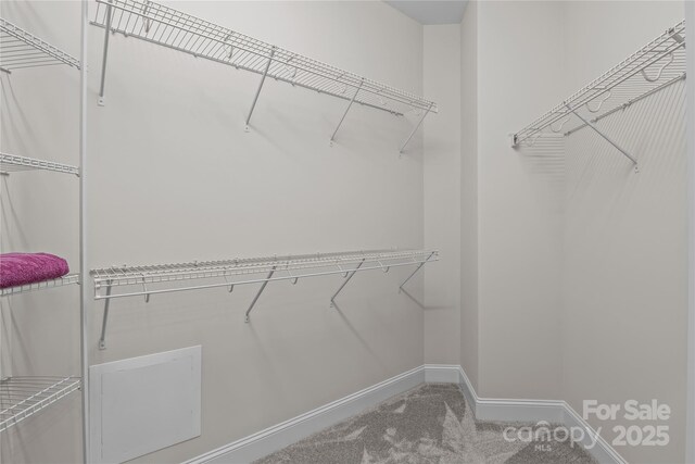 2484 Early Richmond Ct, Denver, NC 28037 - photo 28