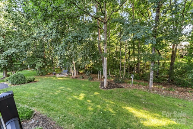 1622 Brookstone Dr, Hickory, NC 28602 - view of green lawn
