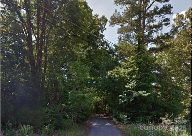1630 Riddle Ext, Clover, SC 29710 - photo 26