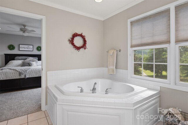 2375 Crymes Cove Rd, Waynesville, NC 28786 - photo 21