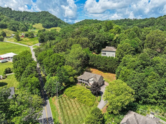 2375 Crymes Cove Rd, Waynesville, NC 28786 - photo 36