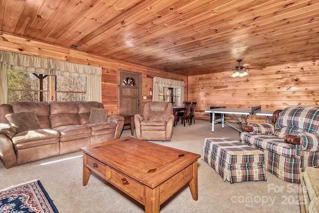 264 Moonbeam Ln, Clyde, NC 28721 - photo 13