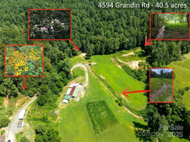 4594 Grandin Rd, Lenoir, NC 28645