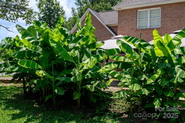4594 Grandin Rd, Lenoir, NC 28645