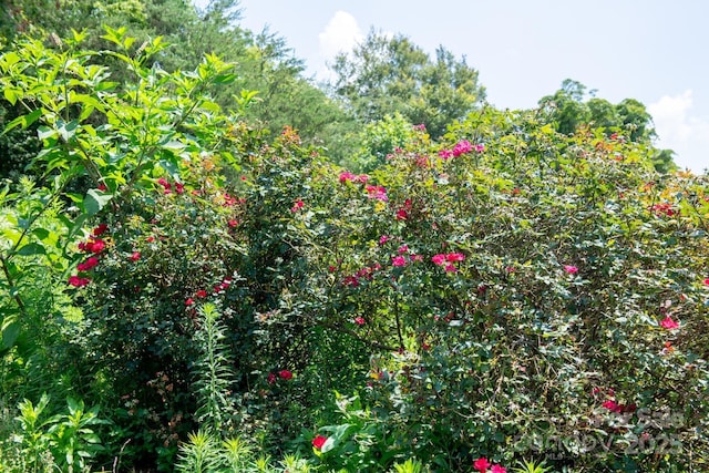 4594 Grandin Rd, Lenoir, NC 28645