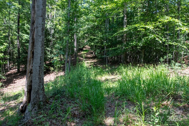4594 Grandin Rd, Lenoir, NC 28645