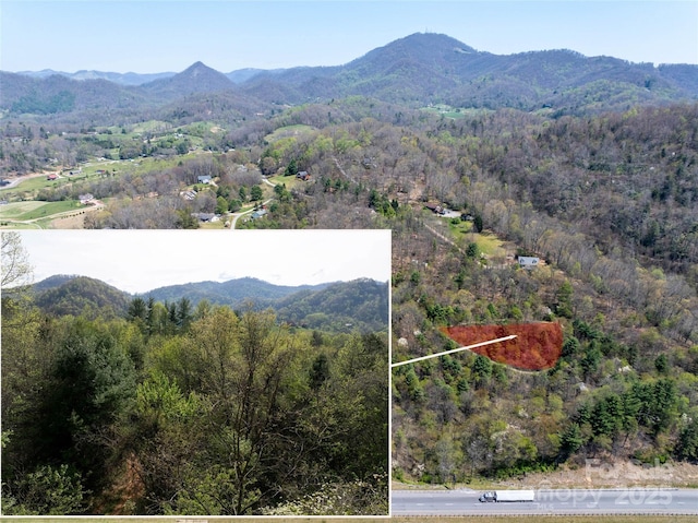 LOT39 Sunnybrook Trl, Clyde, NC 28721