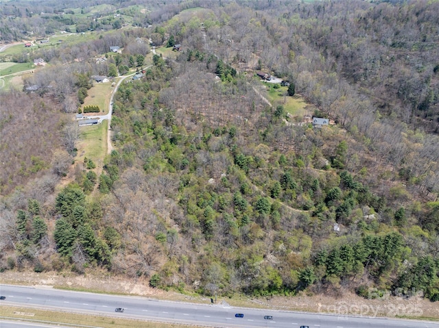 LOT39 Sunnybrook Trl, Clyde, NC 28721