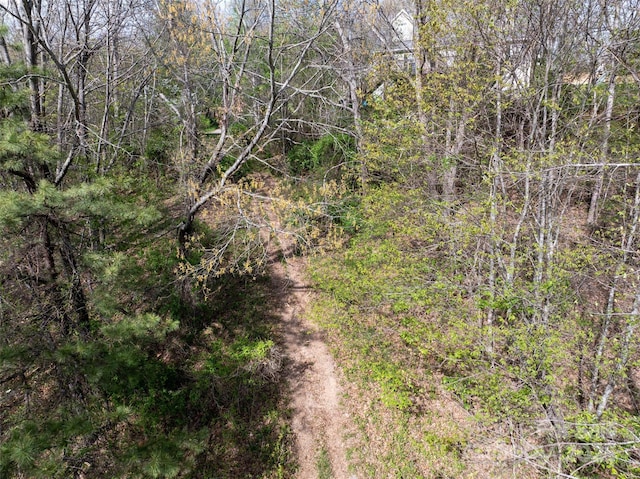 LOT39 Sunnybrook Trl, Clyde, NC 28721