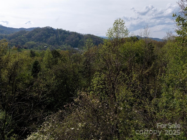LOT39 Sunnybrook Trl, Clyde, NC 28721