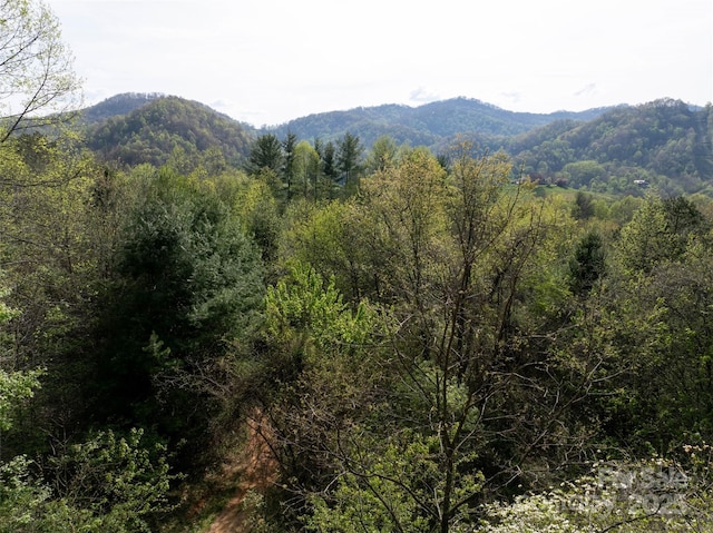 LOT39 Sunnybrook Trl, Clyde, NC 28721