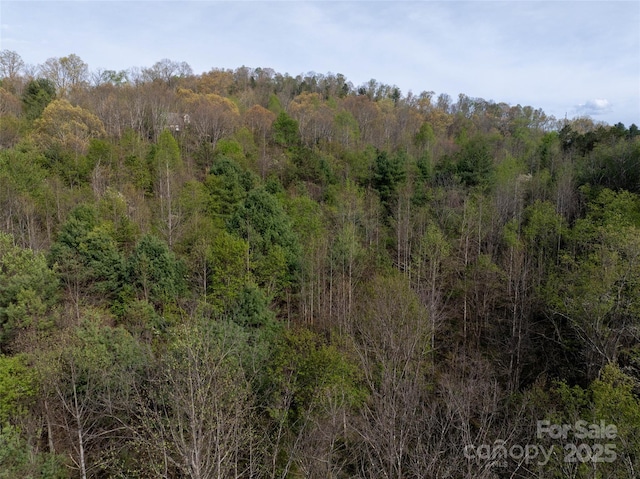LOT39 Sunnybrook Trl, Clyde, NC 28721