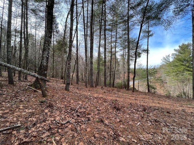 LOT77, 1712 Round Mountain Pkwy Lot 77, Lenoir, NC 28645 - photo 2