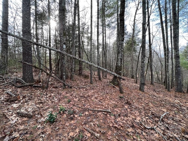 LOT77, 1712 Round Mountain Pkwy Lot 77, Lenoir, NC 28645 - photo 3