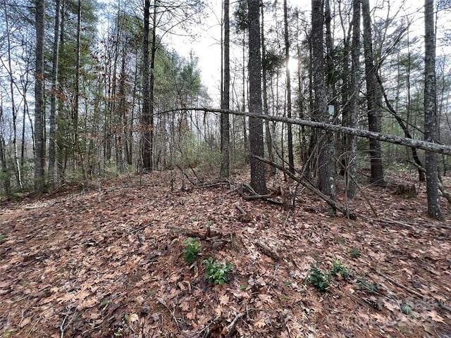 LOT77, 1712 Round Mountain Pkwy Lot 77, Lenoir, NC 28645 - photo 4