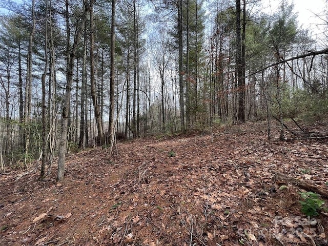 LOT77, 1712 Round Mountain Pkwy Lot 77, Lenoir, NC 28645 - photo 5