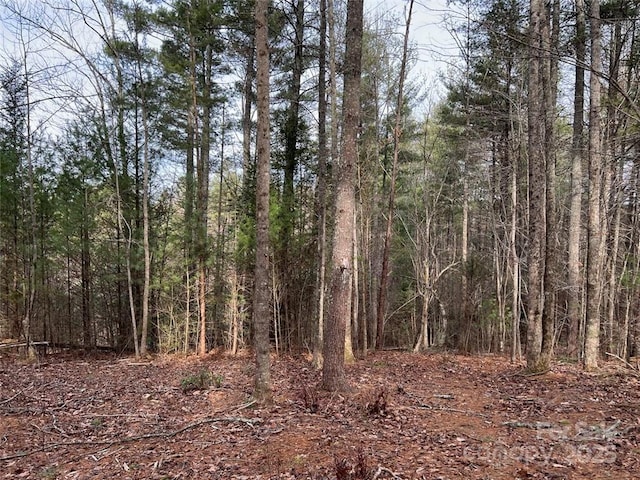 LOT77, 1712 Round Mountain Pkwy Lot 77, Lenoir, NC 28645 - photo 7