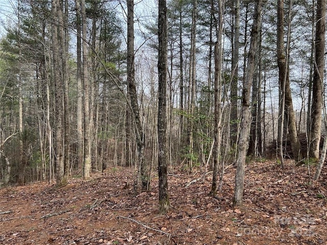 LOT77, 1712 Round Mountain Pkwy Lot 77, Lenoir, NC 28645 - photo 8