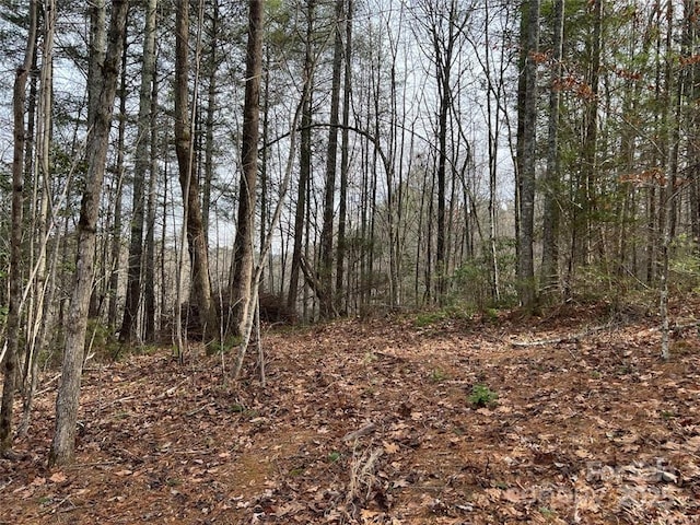 LOT77, 1712 Round Mountain Pkwy Lot 77, Lenoir, NC 28645 - photo 9