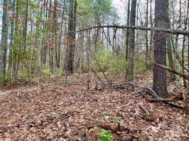 LOT77, 1712 Round Mountain Pkwy Lot 77, Lenoir, NC 28645 - photo 10