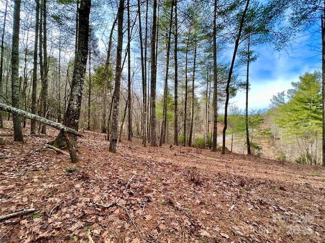 LOT77, 1712 Round Mountain Pkwy Lot 77, Lenoir, NC 28645 - photo 11