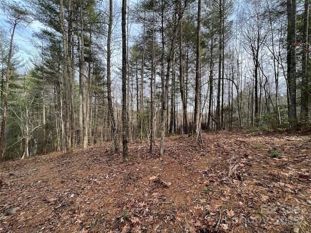 LOT77, 1712 Round Mountain Pkwy Lot 77, Lenoir, NC 28645 - photo 12