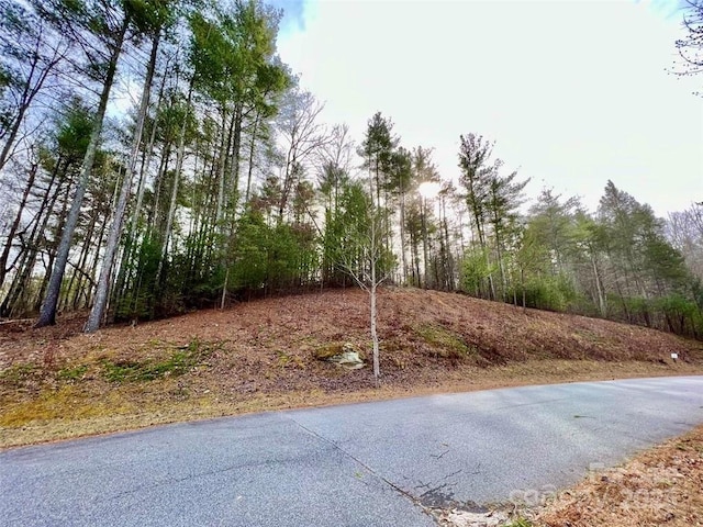 LOT77, 1712 Round Mountain Pkwy Lot 77, Lenoir, NC 28645 - photo 13