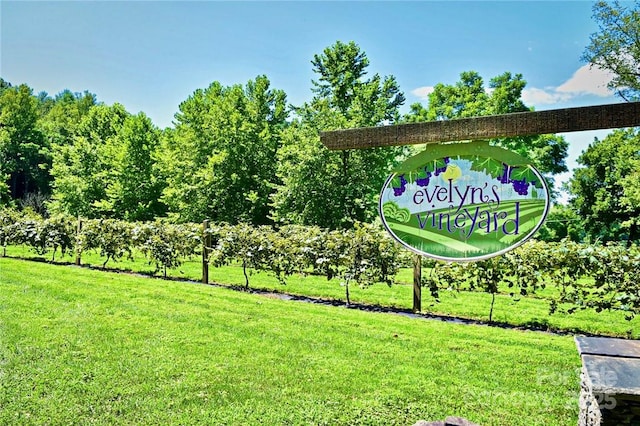 LOT77, 1712 Round Mountain Pkwy Lot 77, Lenoir, NC 28645 - photo 33
