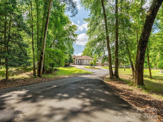 887 Living Waters Dr, Great Falls, SC 29055 - view of property hidden behind natural elements featuring asphalt driveway