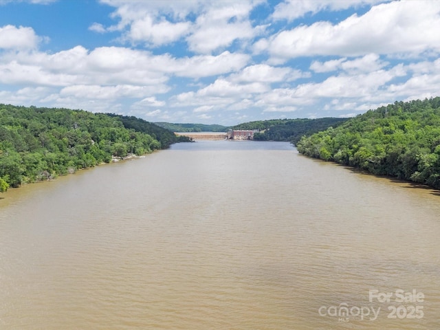 887 Living Waters Dr, Great Falls, SC 29055 - water view featuring a forest