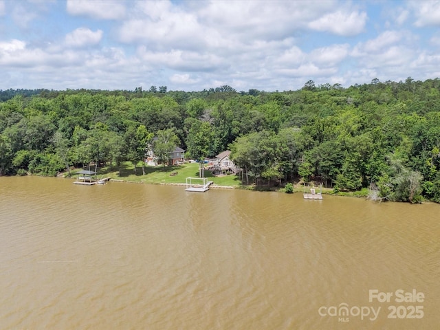 887 Living Waters Dr, Great Falls, SC 29055 - bird's eye view of a nearby body of water and a forest