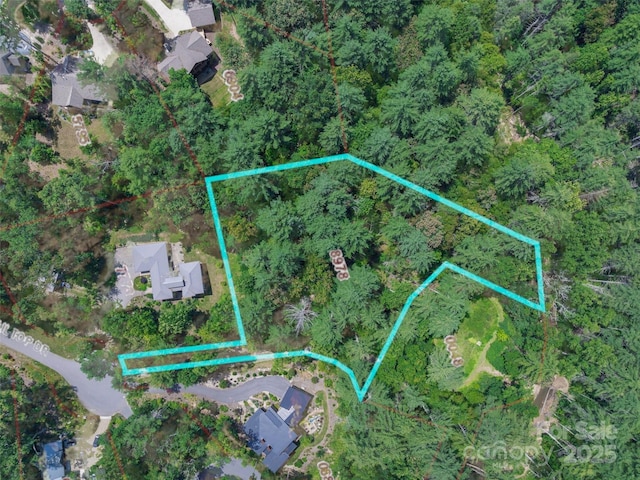 52 Trail Top Dr, Asheville, NC 28805 - photo 1