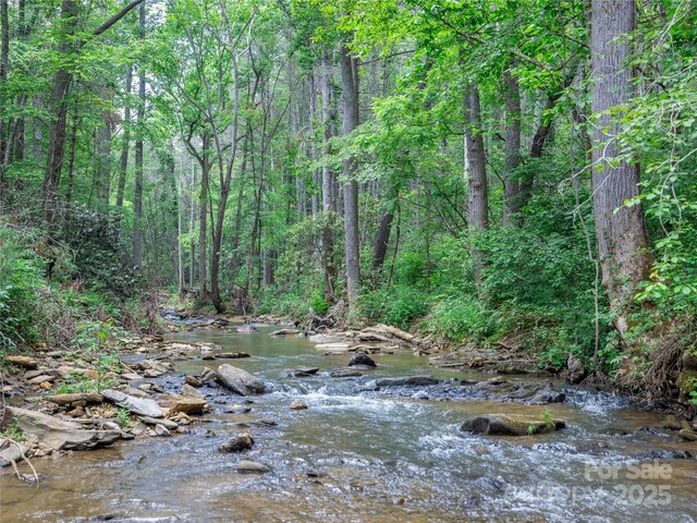 52 Trail Top Dr, Asheville, NC 28805 - photo 2