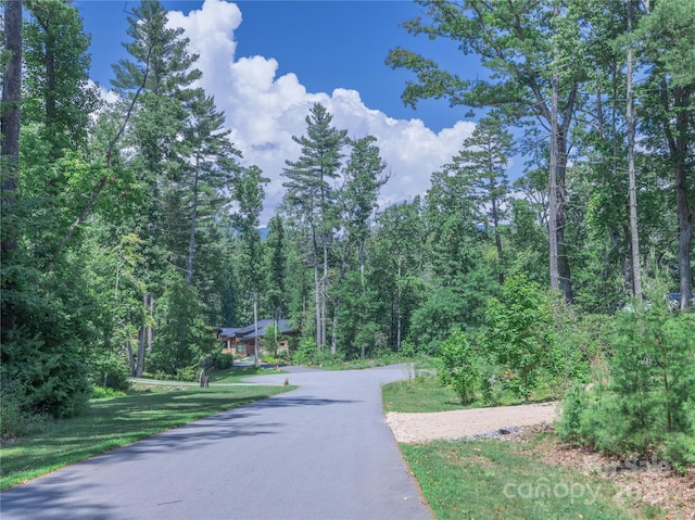 52 Trail Top Dr, Asheville, NC 28805 - photo 7