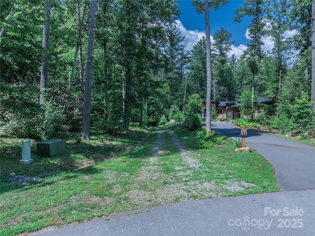 52 Trail Top Dr, Asheville, NC 28805 - photo 8