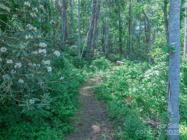 52 Trail Top Dr, Asheville, NC 28805 - photo 9
