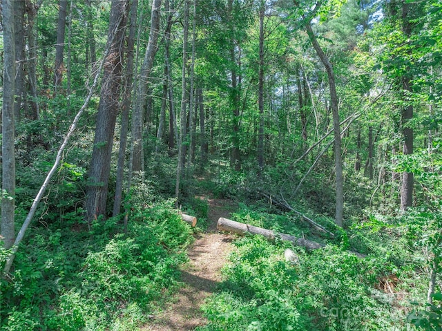 52 Trail Top Dr, Asheville, NC 28805 - photo 10