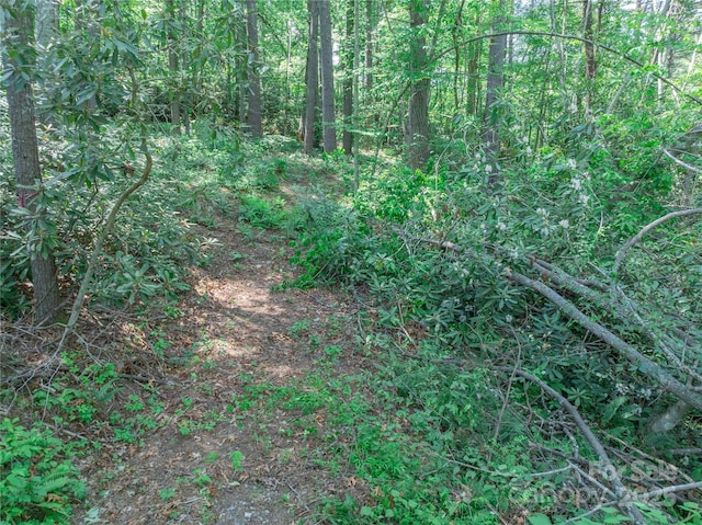 52 Trail Top Dr, Asheville, NC 28805 - photo 11